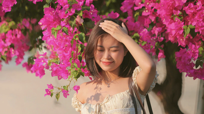 Egy élénk színű, 300 méter hosszú bougainvillea „alagút” Nha Trangban vonzza a fotókat készíteni érkező turistákat.