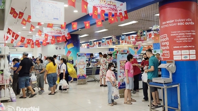 Purchasing power at supermarkets and shopping malls in Dong Nai increased by 10-25%.