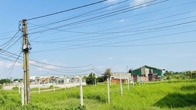 Casele construite pe terenuri agricole pot primi în continuare certificate de proprietate asupra terenurilor.