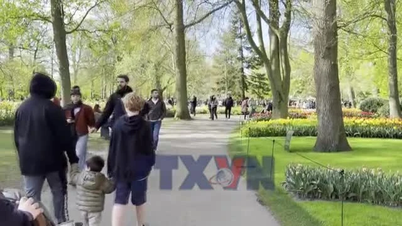 Navštivte Keukenhof – květinovou zahradu považovanou za nejkrásnější na světě.