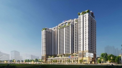 Dicera Holdings ghi nhận lãi ròng 48,8 tỷ đồng trong quý đầu năm 2026