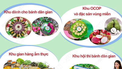 سیزدهمین جشنواره کیک سنتی جنوب ویتنام ۲۰۲۶: طعم‌های زمین و آسمان