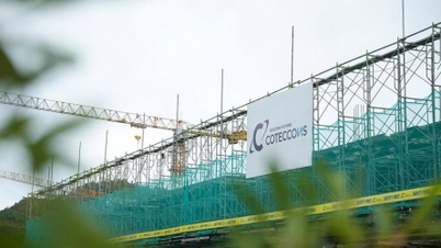 Компанія Coteccons зафіксувала прибуток у розмірі 119 мільярдів донгів у третьому кварталі 2026 фінансового року.