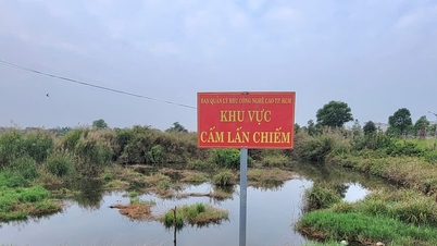 Bandar Raya Ho Chi Minh: Program rintis untuk Lembaga Pampasan dan Pembersihan Tanah di bawah Jabatan Pertanian dan Alam Sekitar.