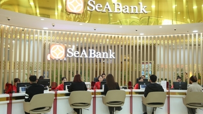 SeABank registró resultados estables en el primer trimestre de 2026, ajustándose fielmente al plan anual.