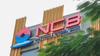 Az NCB erős növekedést mutatott 2026 első negyedévében.