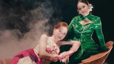 '잘 익은 쌀은 고개를 숙이지 않는다'라는 노래를 둘러싼 논란: 전국 콘서트 주최 측은 가수가 사전에 가사를 변경했다고 밝혔다.
