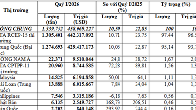 As exportações de mandioca no primeiro trimestre de 2026 renderam quase US$ 460 milhões, com uma taxa de crescimento superior a 22%.