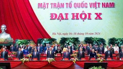 Information regarding the personnel plan for the 11th term of the Central Committee of the Vietnam Fatherland Front.