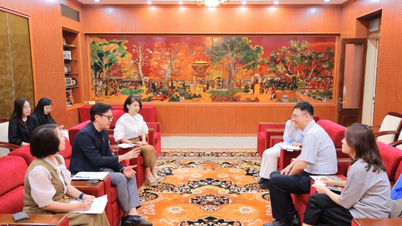Hanoi Universiteit en Zuidoost-China Universiteit: Naar een interdisciplinair samenwerkingsmodel van "Taal gecombineerd met technologie"