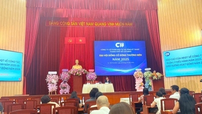 CII Shareholders' Meeting: Suspending quarterly dividend payment plan to focus investment capital.