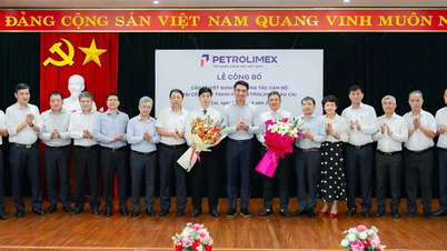 Majlis mengumumkan keputusan pelantikan mengenai kakitangan di Petrolimex Lao Cai