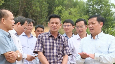 ថ្នាក់ដឹកនាំនៃគណៈកម្មាធិការប្រជាជនខេត្តឡាំដុងត្រួតពិនិត្យវឌ្ឍនភាពនៃគម្រោងជាច្រើននៅតំបន់ភាគខាងលិច។