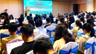 Da Nang oferece treinamento sobre declaração de preços de serviços para estabelecimentos de hospedagem.