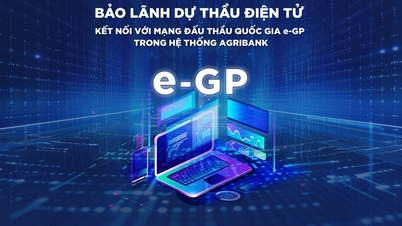 Agribank lancia un prodotto di garanzia elettronica per le offerte, collegato al Sistema Nazionale di Rete per le Offerte (e-GP).