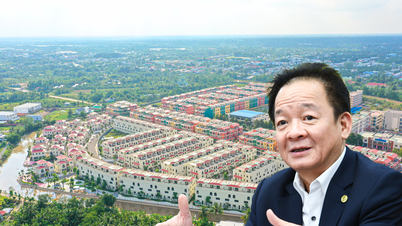 De strategie die T&T Group, onder leiding van voorzitter Hien, hielp de vastgoedmarkt te veroveren.