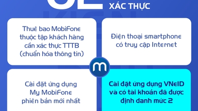 ការណែនាំសម្រាប់ការផ្ទៀងផ្ទាត់ព័ត៌មានសម្រាប់ក្រុមអ្នកជាវនីមួយៗ។