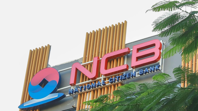 Con un aumento del 43% en los beneficios del primer trimestre de 2026, NCB (NVB) acelera su proceso de aumento de capital hasta los 29.280 millones de VND.