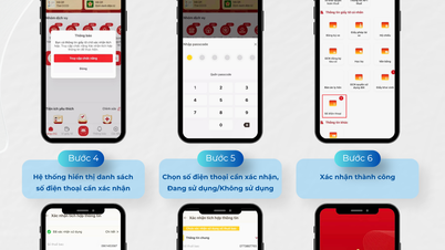 Instructions pour vérifier l'intégration du numéro de téléphone sur VNeID