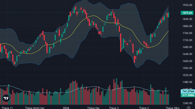 The stock market rose by more than 22 points.