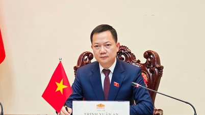 سومین جلسه مشورتی آنلاین کنفرانس نمایندگان جوان پارلمان AIPA