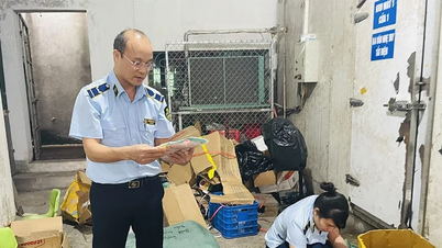Menangani lebih dari 300 pelanggaran pasar.