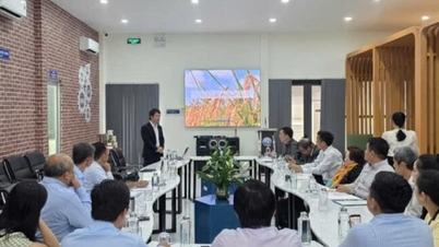 Tay Ninh: اعلی ٹیکنالوجی سے منسلک ویلیو چین کے ساتھ دواؤں کے پودوں کی صنعت کو ترقی دینا۔