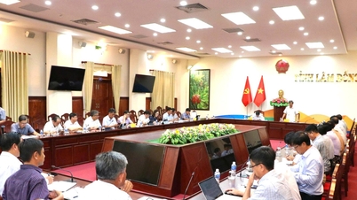 Provincia Lam Dong crește responsabilitatea proprietarilor de proiecte și accelerează distribuirea fondurilor publice de investiții.
