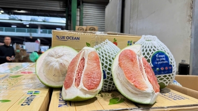 Las frutas y verduras vietnamitas en la "gran carrera": De la "temporada dorada" de 2025 al objetivo de 10.000 millones de dólares.