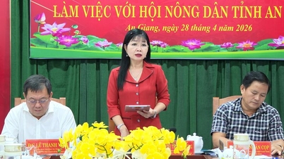 Il Comitato permanente del Fronte della Patria vietnamita della provincia di An Giang ha tenuto una sessione di lavoro con l'Associazione provinciale degli agricoltori.