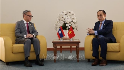 Vietnam posiluje bilaterální vztahy se zeměmi ASEAN a EU.