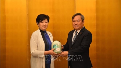 Hà Nội - Tokyo thúc đẩy hợp tác công nghệ và phát triển bền vững