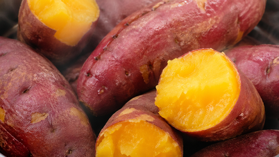 Por que a batata-doce ajuda a estabilizar o açúcar no sangue, apesar de ser rica em amido?