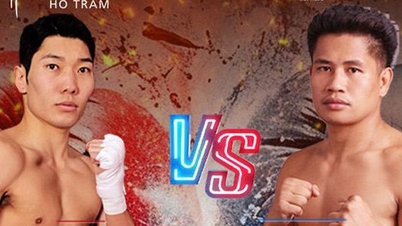 Tre vietnamesiska fighters kommer att tävla i Ho Tram Power Clash.
