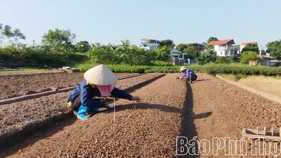 Strictly control the quality of agricultural inputs.