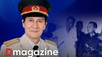 The top-secret mission of the military doctor to resolve a diplomatic dilemma using science.