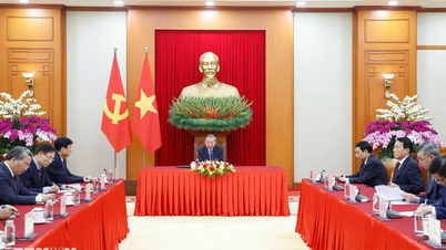 Japón admira el camino de paz y desarrollo que está siguiendo Vietnam.