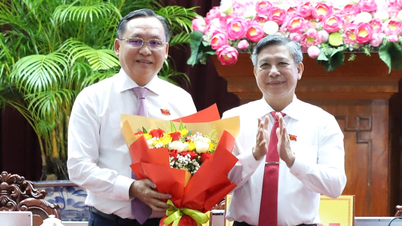 Ketua Lembaga Pengurusan Zon Pemprosesan Eksport dan Taman Perindustrian dilantik sebagai Naib Pengerusi Jawatankuasa Rakyat Bandar Can Tho.