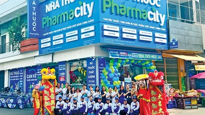 Pharmacity: De ambitie om 'de gezondheidszorg te verbinden en in kaart te brengen' en de missie om de gezondheid van Vietnam te dienen.