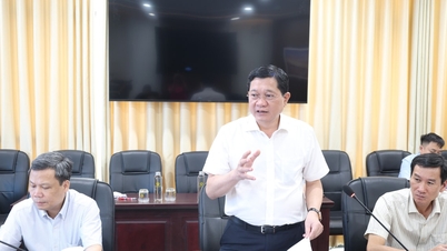 Khẩn trương mở rộng, điều chỉnh ranh giới Khu thương mại tự do Đà Nẵng