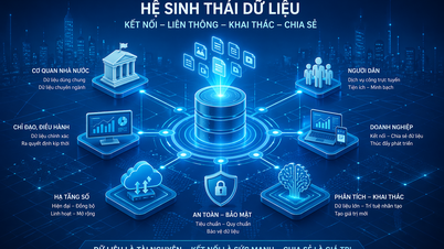 Hai Phong 2026 تک اپنے ڈیٹا ایکو سسٹم کو مکمل کرنے کے لیے پرعزم ہے۔