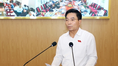 Místopředseda Národního shromáždění, generálporučík Nguyen Doan Anh, se setkal s voliči v Thanh Hoa.