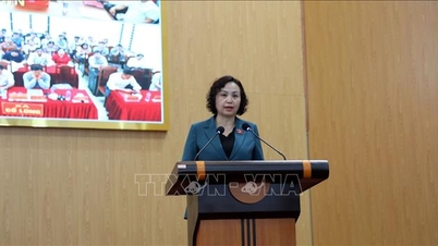 Nella provincia di Thanh Hoa si sta procedendo con urgenza all'esame e alla risoluzione efficace delle richieste degli elettori.