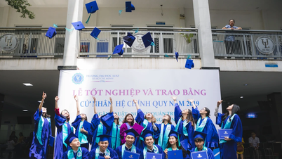Юридический университет города Хошимин сохраняет предметную группу C00 и открывает четыре новые специальности.