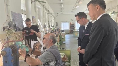 Promoting local cooperation and cultural exchange between Vietnam and the Czech Republic.
