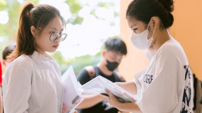 Undersökning av förra årets antagningsresultat för de 10 gymnasieskolorna med högst konkurrensgrad i Hanoi år 2026.