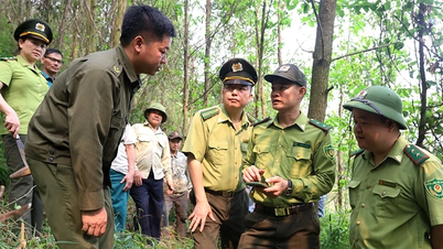 Kim Boi Forest Rangers - Když se „zelený štít“ spoléhá na podporu lidí.