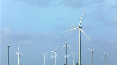 Grandes cantidades de capital están fluyendo hacia la energía eólica y solar.