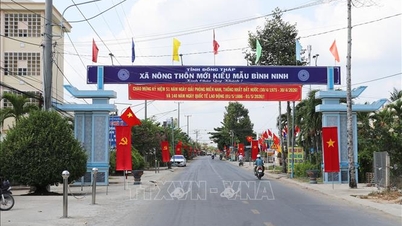 51 tahun sejak reunifikasi nasional: Daerah-daerah basis revolusi berkembang pesat.