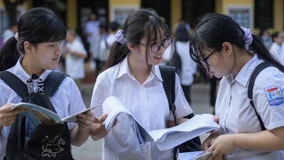 Hơn 2.200 thí sinh giành 70 suất vào lớp chuyên Anh trường Chu Văn An
